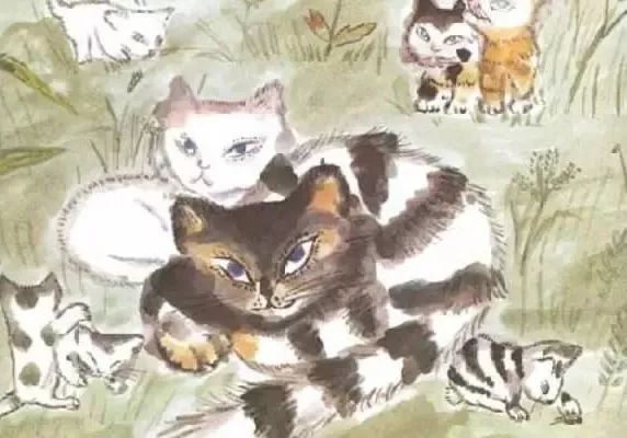 澳门一码一肖一待一中四不像，探索神秘与现实的交织，澳门神秘现象揭秘，一码一肖一待一中四不像的探索之旅