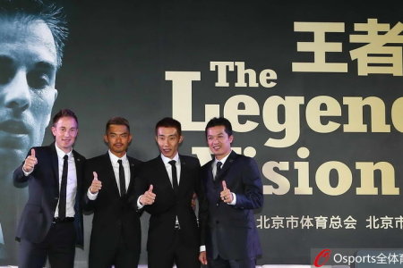 王中王一肖免费公开，探索背后的故事与意义，王中王一肖背后的故事与意义揭秘