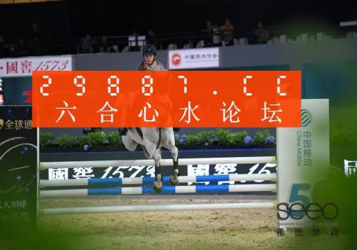 王中王资料与肖中特一，深度解析，王中王资料与肖中特深度解析报告