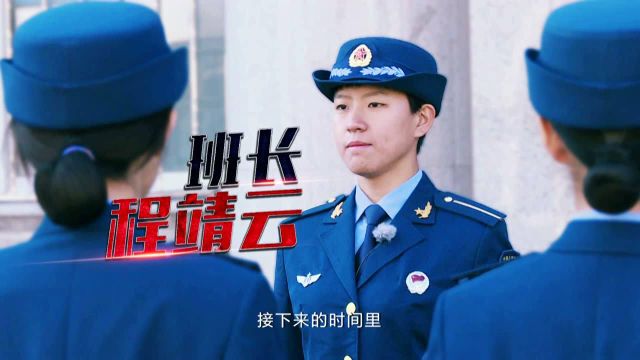 中国人民解放军空军的兵种构成及其特点,中国人民解放军空军的兵种构成与特点概览