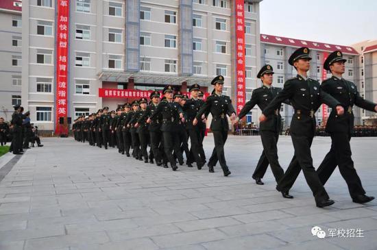 战略支援部队的专业领域及其重要性,战略支援部队专业领域深度解析,支撑国家安全的重要力量