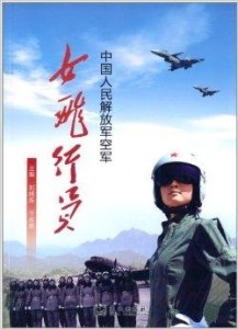 中国人民解放军空军构成概览,中国人民解放军空军构成概览,揭示其力量与荣耀