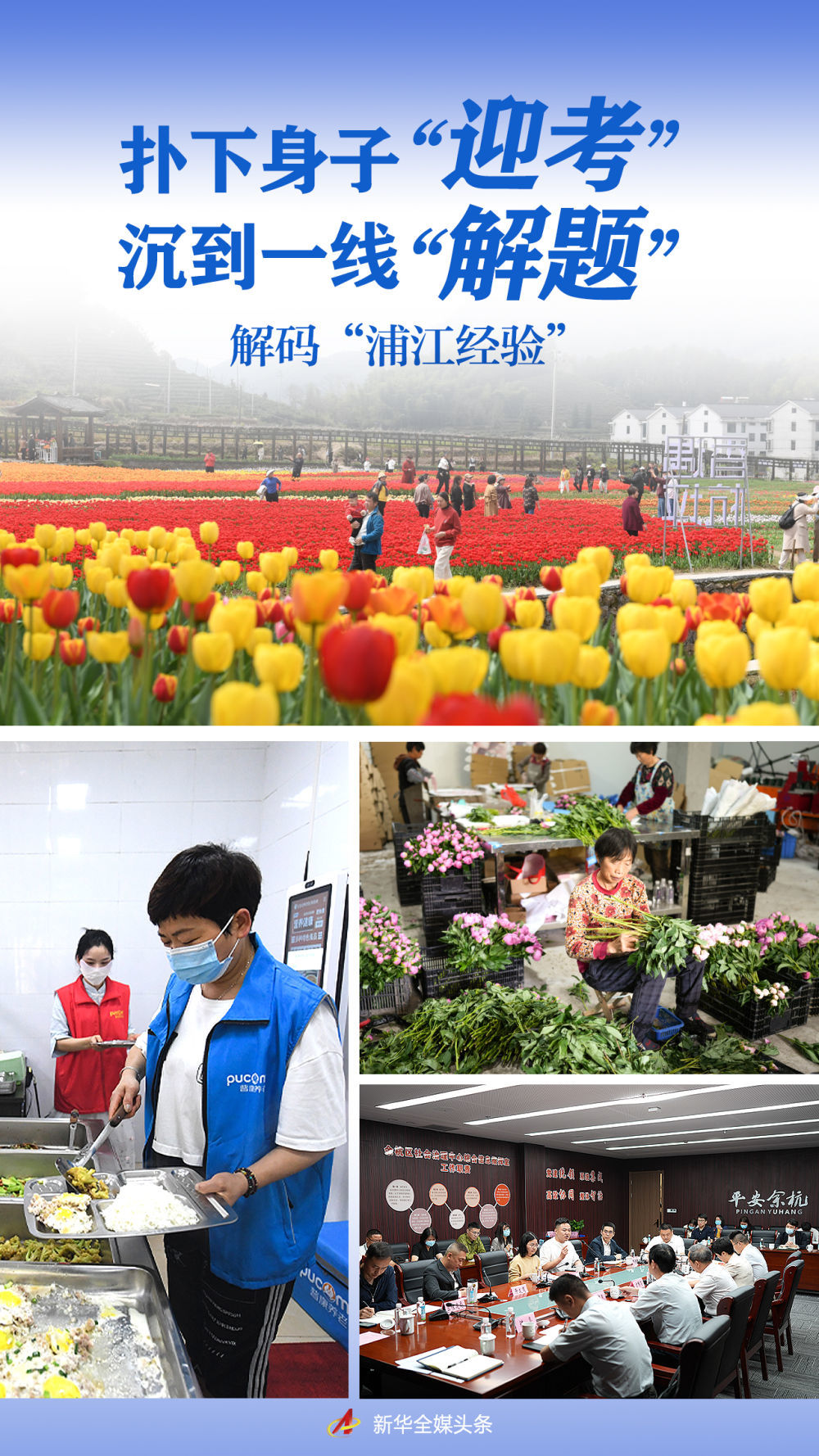 王中王平特一肖秀家网，探索与洞察，王中王平特一肖秀家网，深度探索与洞察