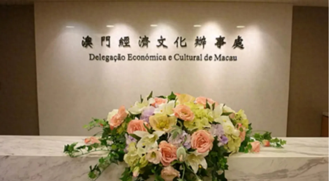 澳门一码一肖一待一中四不像，探索神秘与魅力的交汇点，澳门神秘魅力交汇点，一码一肖一待一中四不像的探索