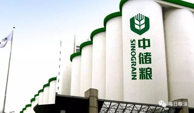 王中王253期指一生肖,探寻背后的故事与意义,王中王253期生肖背后的故事与意义探寻