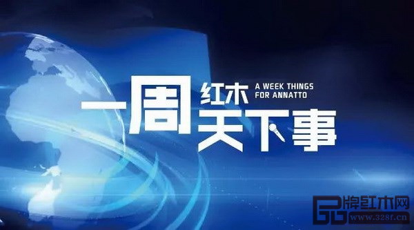 最新一周新闻摘要，全球动态概览，全球最新一周新闻摘要与动态概览