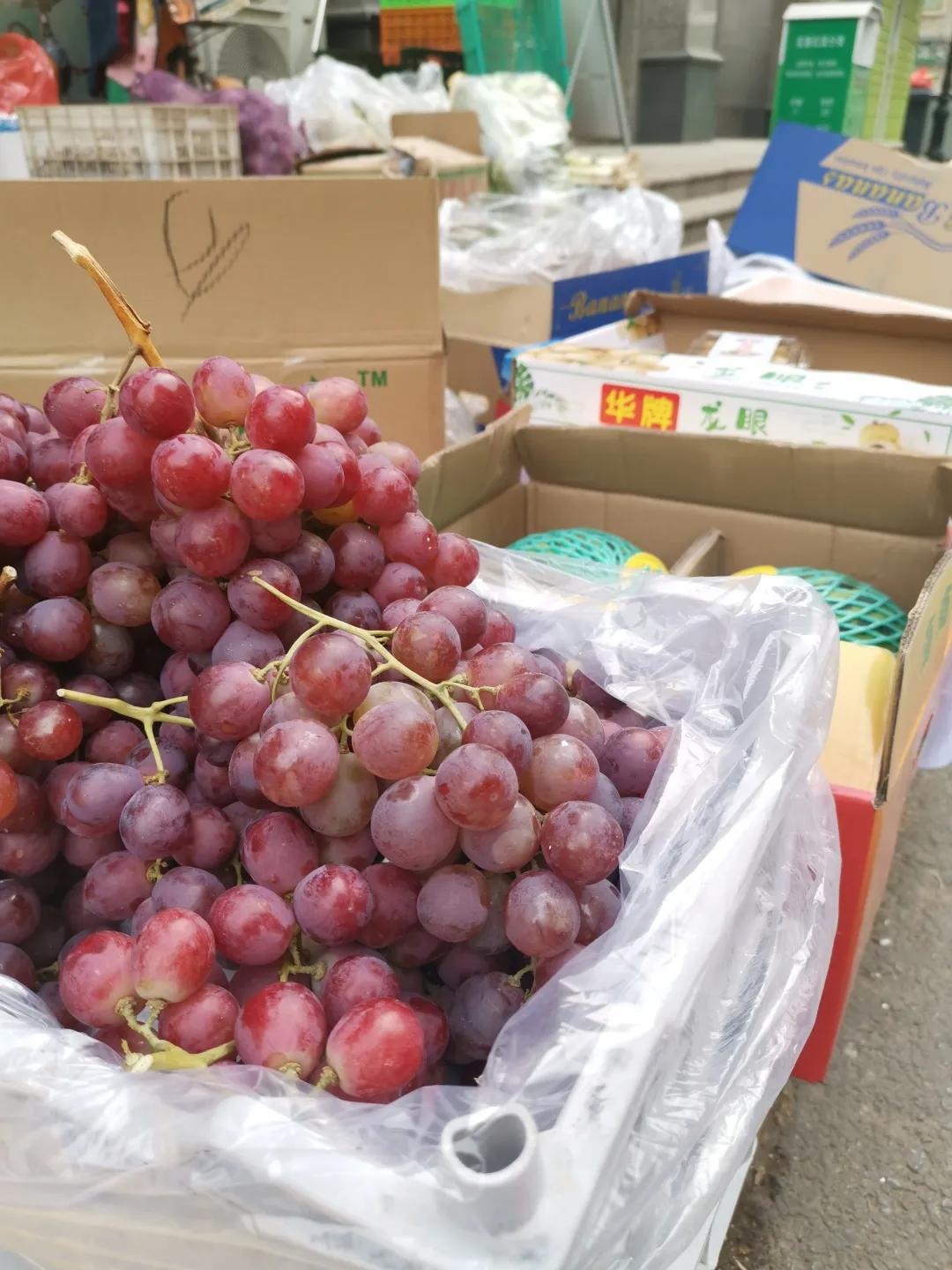 石家庄疫情的最新今日头条新闻报道,石家庄疫情最新动态报道,今日头条新闻速递