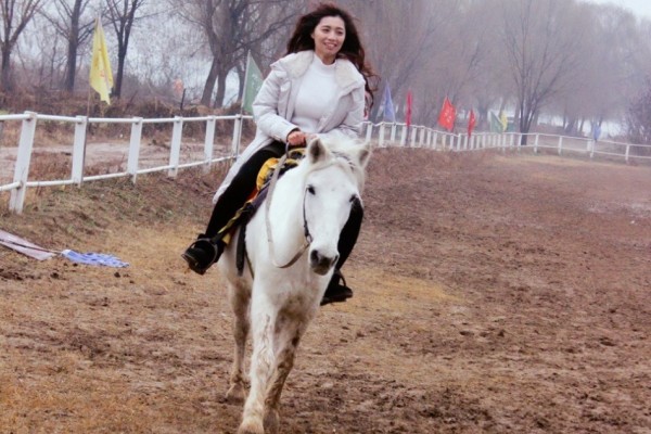 新奥最精准免费大全,探索与发现,新奥最精准免费大全,探索与发现的奥秘