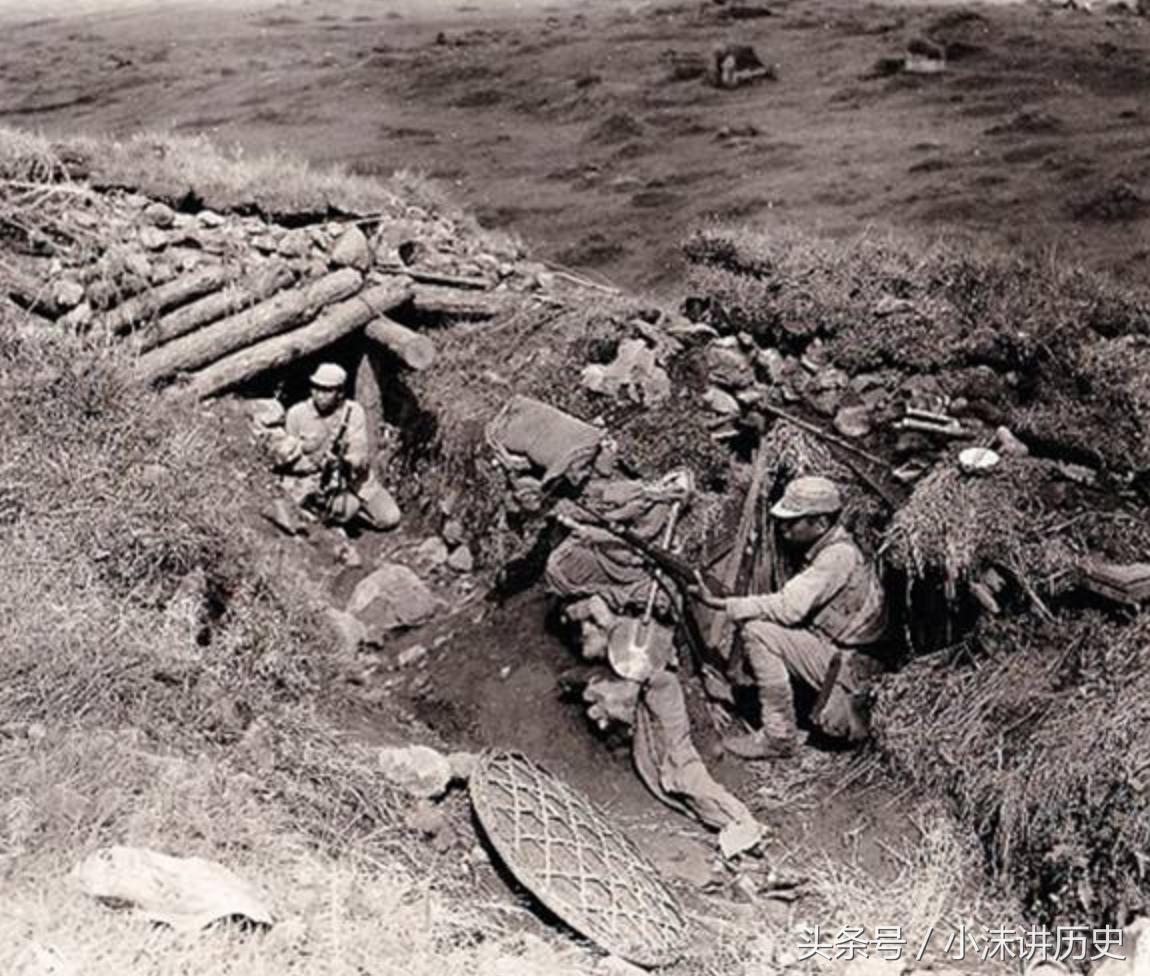 台湾低保政策最新消息全面解读,台湾低保政策最新消息全面解读与分析