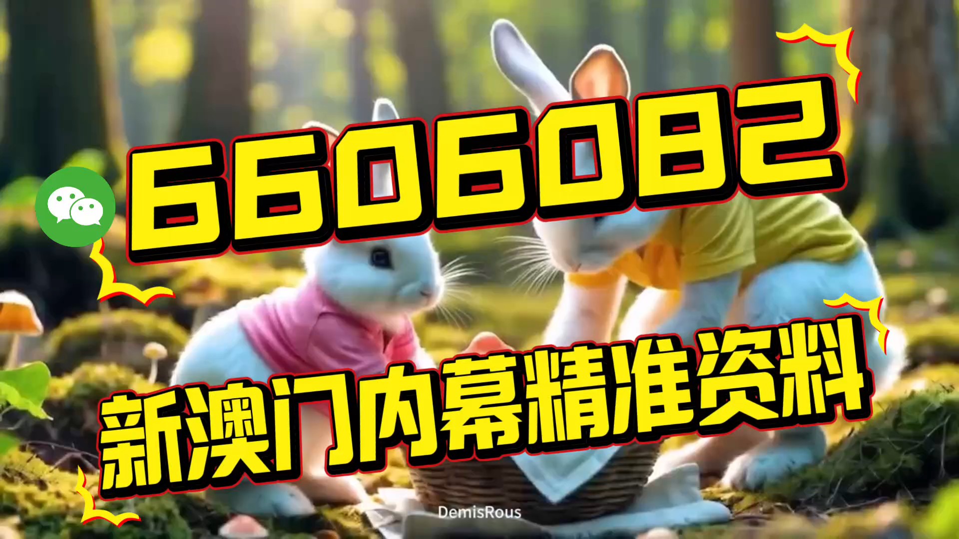 澳门今晚六开一肖必中特，探索命运与机遇的奇妙之旅，澳门今晚命运与机遇的奇妙探索，一肖必中特