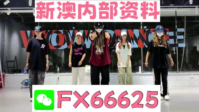 新奥天天免费资料大全，探索与启示，新奥天天免费资料大全，探索之路与启示