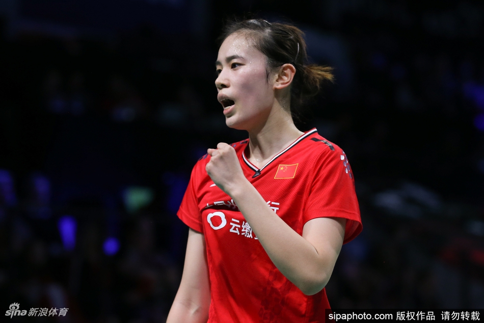 王中王期期中特一肖十码,探索与解析,王中王期期中特一肖十码,深度探索与解析