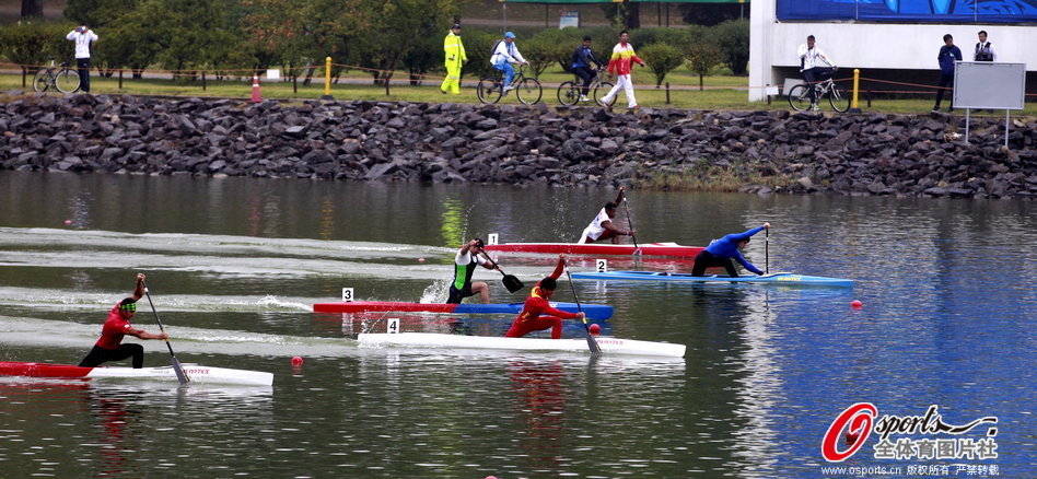 王中王一肖一马期期中特之奥秘解析,王中王一肖一马期期中特奥秘深度解析