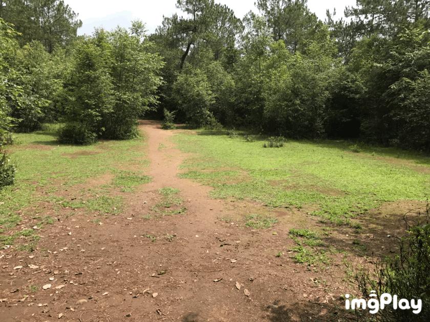 中国一个小时能集结多少兵力,探究中国国防力量的现实与潜力,中国国防力量的现实与潜力,一小时内可集结的兵力数量探究