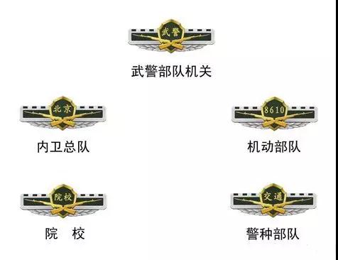 武警部队新式臂章的诞生与影响,武警部队新式臂章的诞生及其深远影响