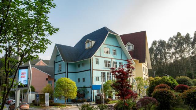 世界新闻周刊大学排名TOP 500深度解析，世界新闻周刊大学排名TOP 500深度剖析