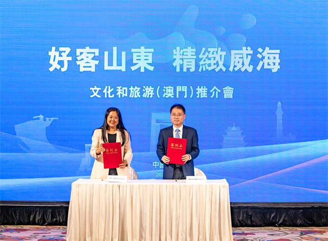 新澳门彩历史记录查询表图片,探索与解读,澳门彩历史记录查询表揭秘,探索与解读图片版