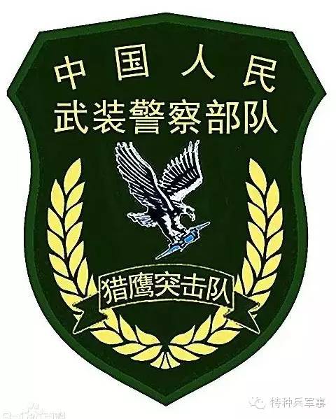 中国人民武装警察部队特种警察学院,是985吗?解析与探讨,中国人民武装警察部队特种警察学院解析,是否为985高校?