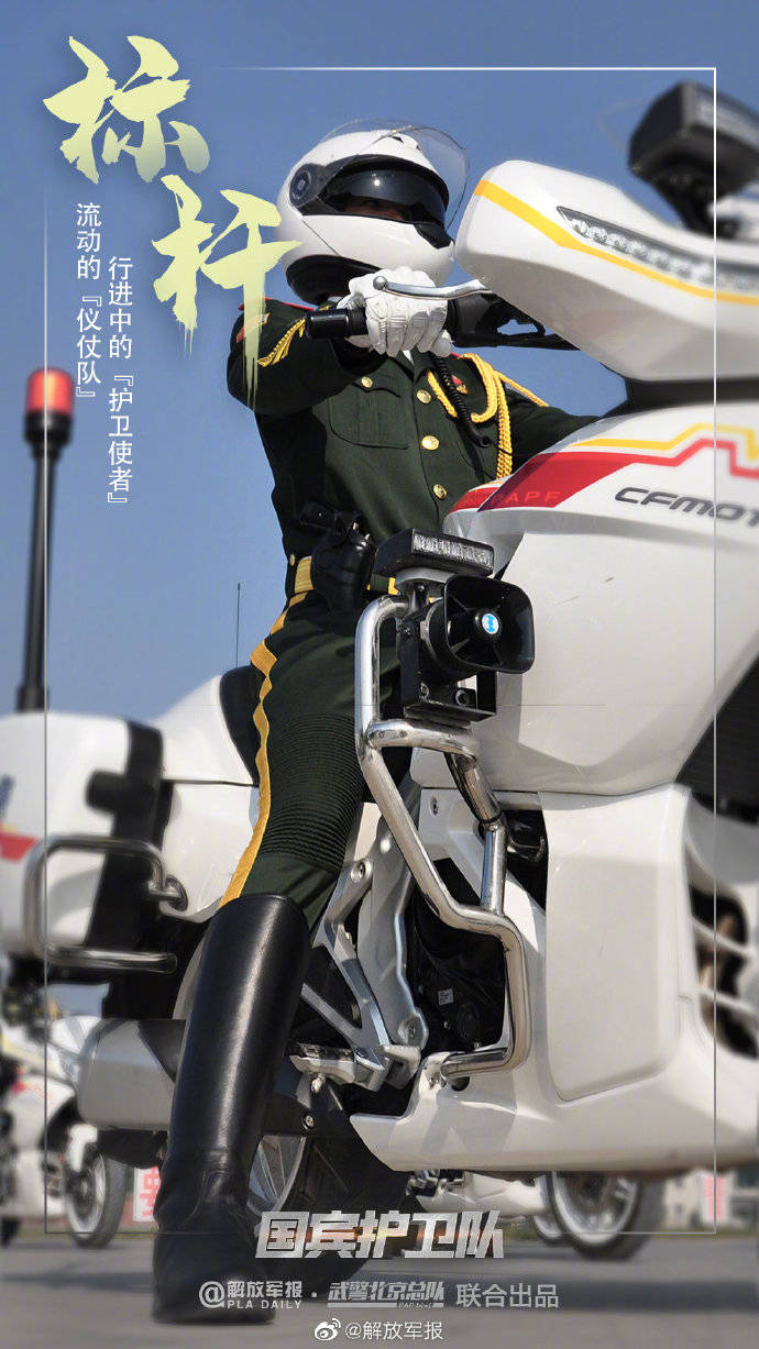 国宾护卫队，实力与荣耀的象征，国宾护卫队，实力与荣耀的典范