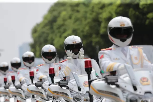 国宾护卫队春风650，荣耀与责任的象征，国宾护卫队春风650，荣耀与责任的独特象征