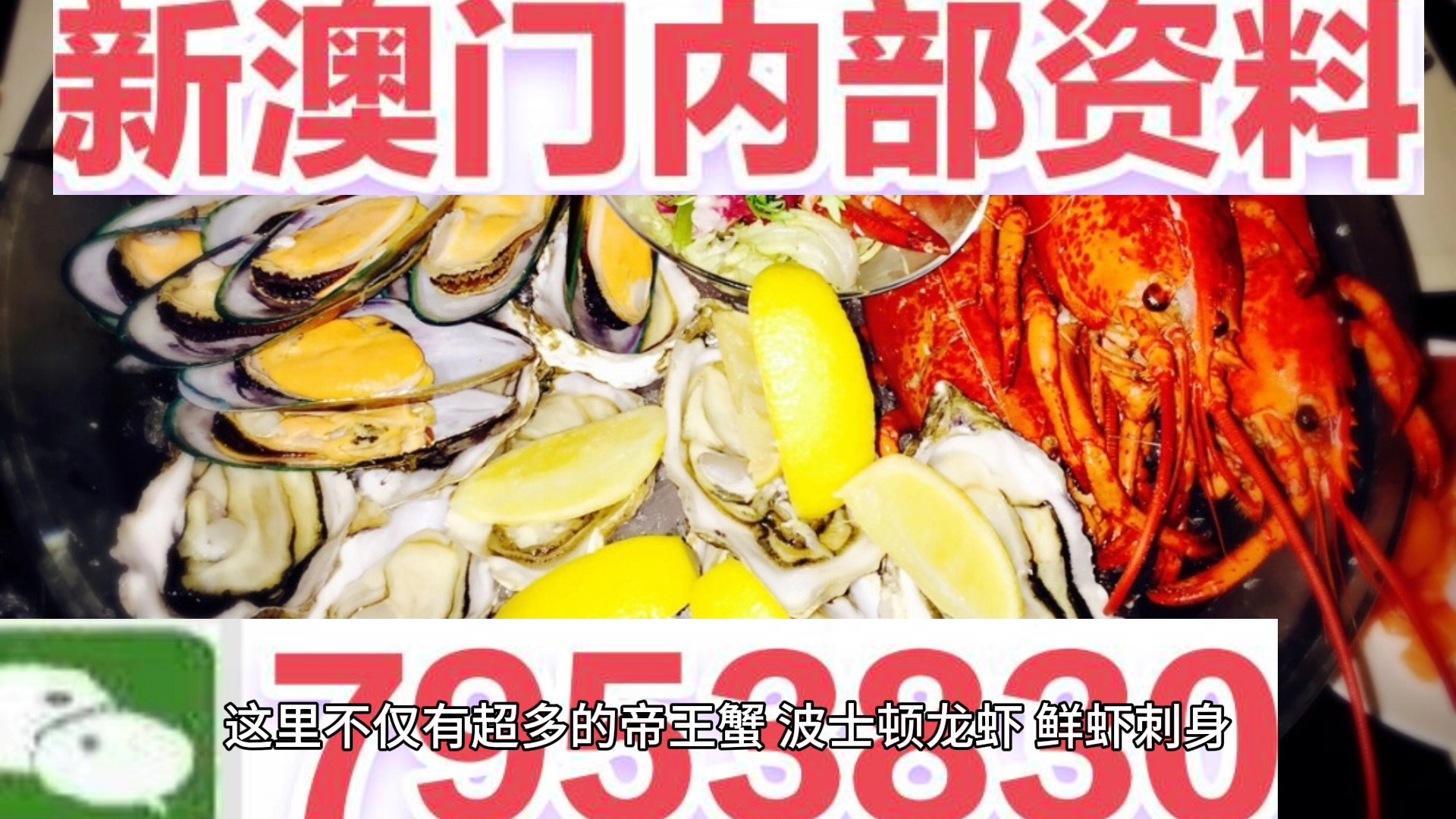 澳门一肖一码期期准中选料，探索背后的秘密与策略，澳门一肖一码期期准中选的秘密与策略探索