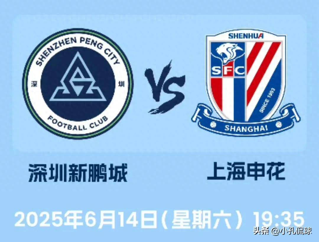 王中王中一肖,探寻背后的故事与意义,王中王中一肖,背后的故事与意义探寻