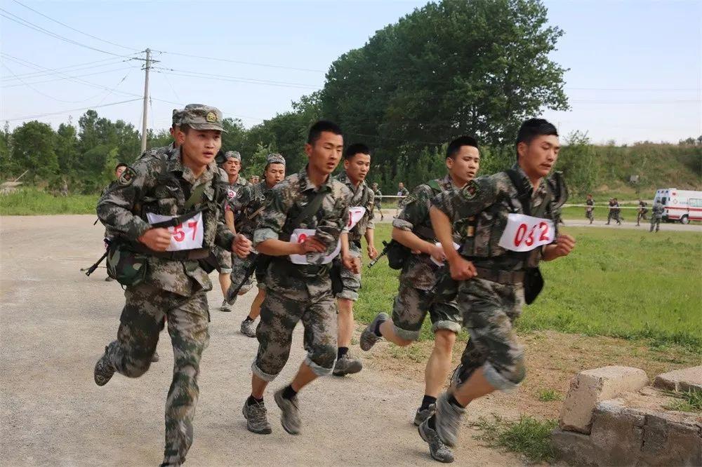 陆军旅的数量,揭示与解析,陆军旅数量揭秘与深度解析