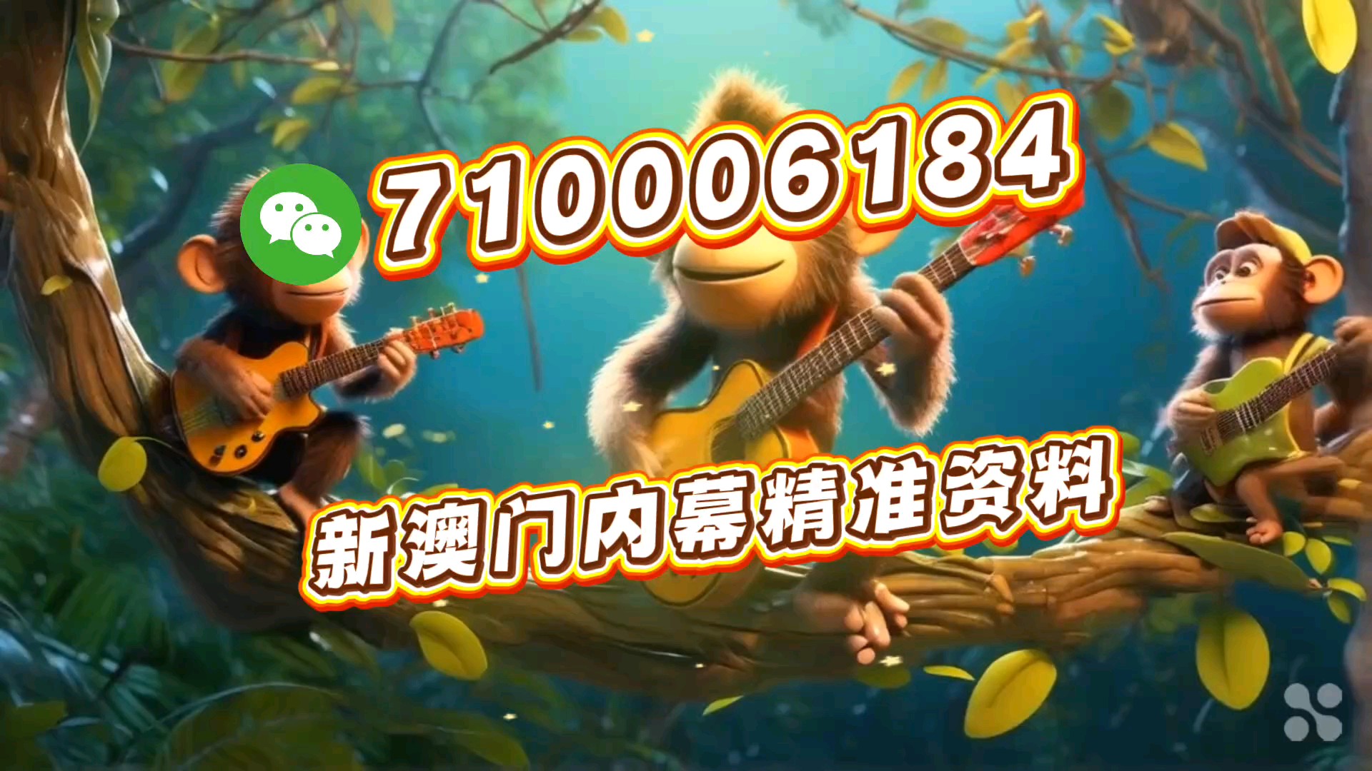 澳门一肖一码中特