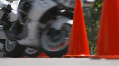 国宾护卫队真实照片,荣耀与威严的象征,国宾护卫队真实照片,荣耀与威严的展现