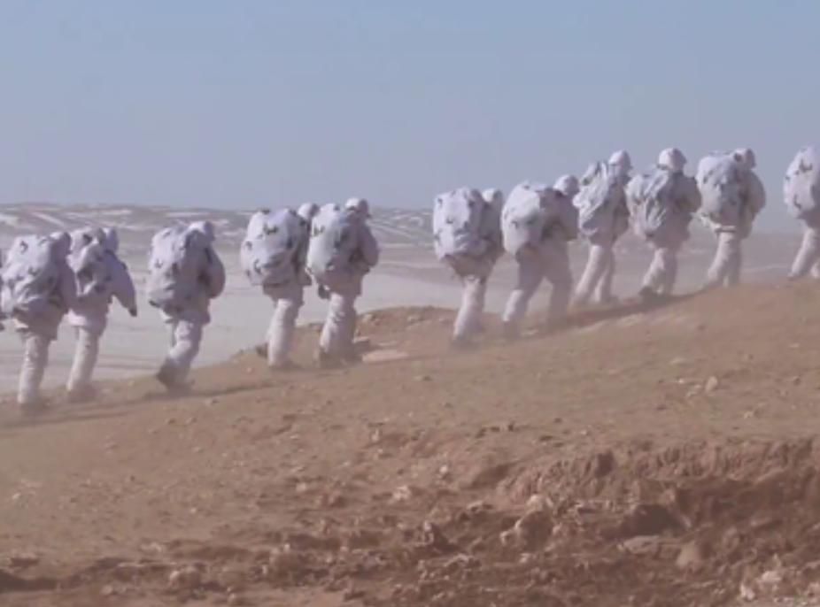 中国人民解放军陆军军网,展现中国陆军的荣耀与力量,中国人民解放军陆军军网,荣耀与力量的展现