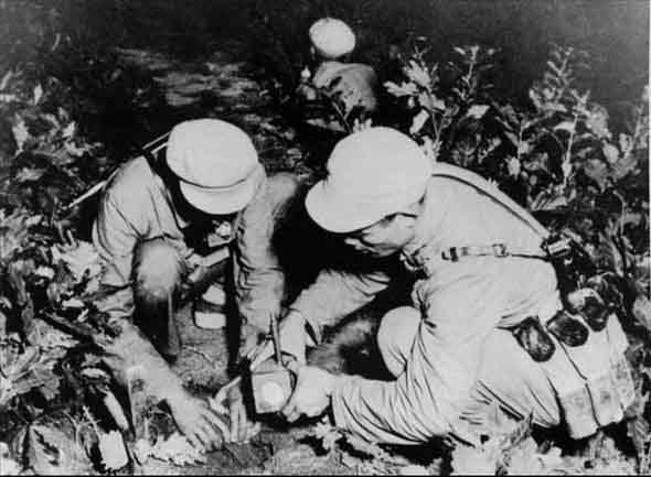 中国人民志愿军抗美援朝牺牲人数及其深远影响,中国人民志愿军抗美援朝牺牲人数及其深远影响概览