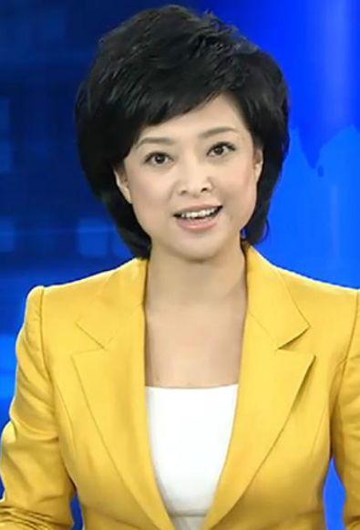 河北省十大美女主持人，闪耀荧屏的璀璨明珠，河北省十大美女主持人，荧屏上的璀璨明珠