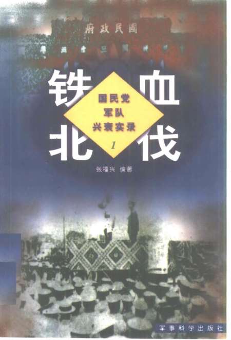 铁血北洋,一段历史传奇的壮丽篇章,铁血北洋,历史传奇的壮丽篇章