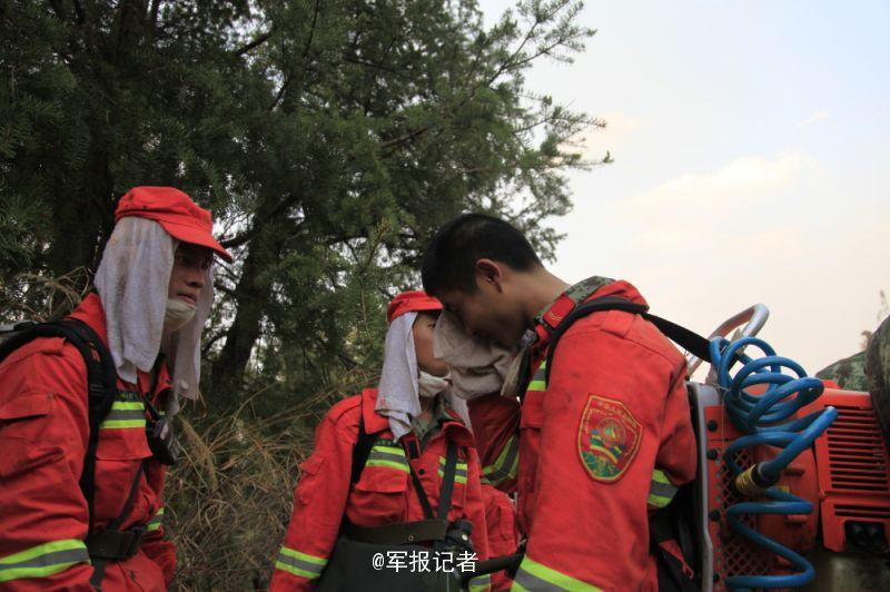 云南省第十四集团军,历史沿革与当代使命,云南省第十四集团军,历史沿革与当代使命揭秘