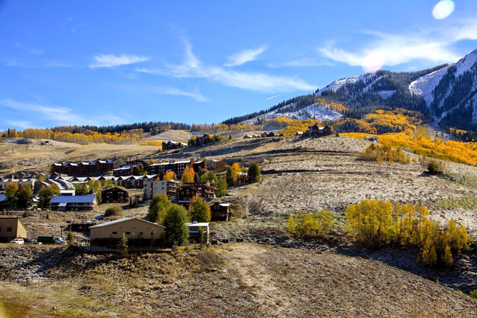 美国白杨,自然之美的象征与生态价值的体现,美国白杨,自然之美的象征与生态价值的闪耀展现