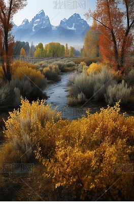 美国白杨,自然之美的象征与生态价值的体现,美国白杨,自然之美的象征与生态价值的闪耀展现