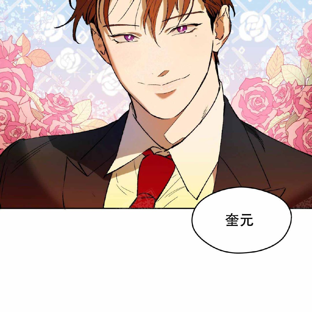 探索夜的奖励,漫画的魅力与免费下拉式的阅读体验,夜之探索,漫画魅力与免费下拉式阅读之旅