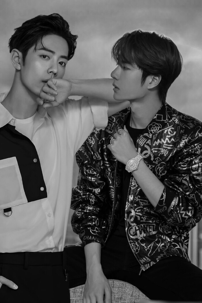 王N王中王一肖中特,探寻独特魅力与无限可能,王一肖的独特魅力与无限可能,探寻王中王的非凡之旅