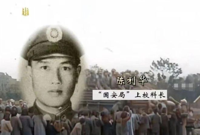 保密局与国防部的关联与差异,深入解析,保密局与国防部的关联与差异深度剖析