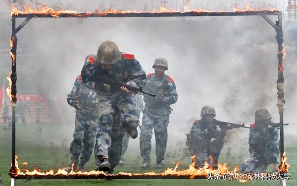 十大国内军事新闻深度解析,十大国内军事新闻深度解读与剖析