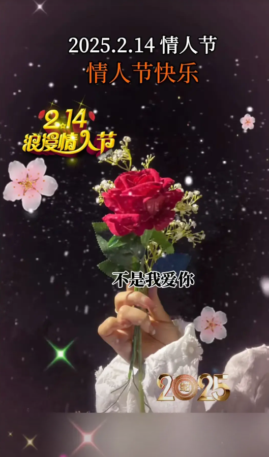 今天情人节,爱的绽放与感悟,情人节特辑,爱的绽放与感悟