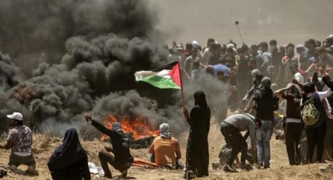 深度分析与观察