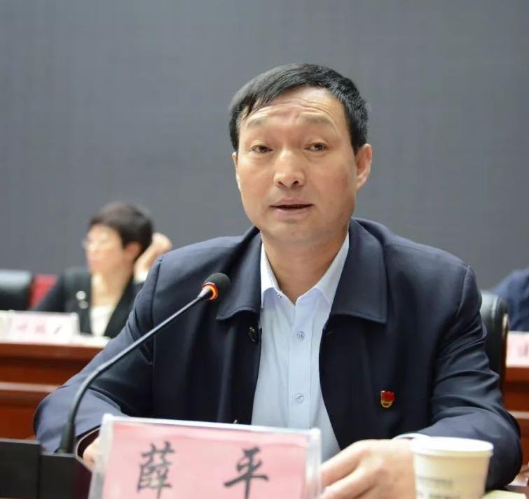 柳林简历，一位杰出人才的成长历程，柳林成长历程，杰出人才的奋斗轨迹