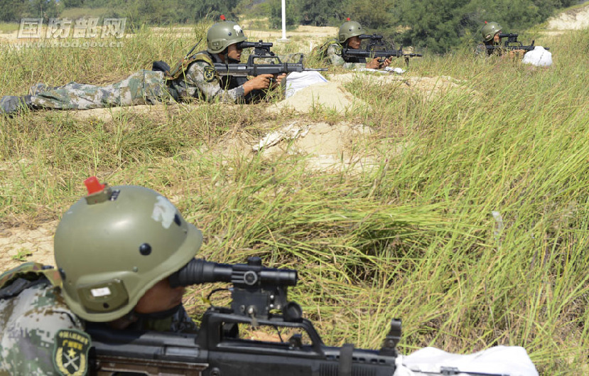 陆军第十四集团军视频,历史、现实与未来的见证,陆军第十四集团军,历史、现实与未来的见证视频发布