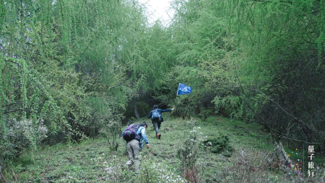 量子探险与AI写作，破解版的未来展望，量子探险与AI写作，未来展望的破解版探索