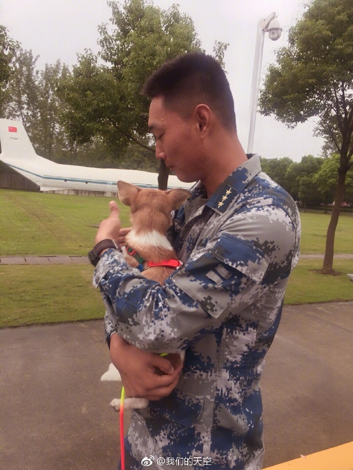 刘金沂妻子,背后的力量与支持,刘金沂妻子,背后的力量与支持之光