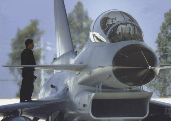 歼-10双座型战斗机，空中力量的新标杆，歼-10双座型战斗机，空中力量的崭新标杆