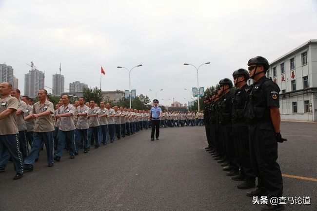 武警打架厉害吗?解析武警的纪律与行为准则,武警的纪律与行为准则,解析实战能力与纪律素质的双重保障