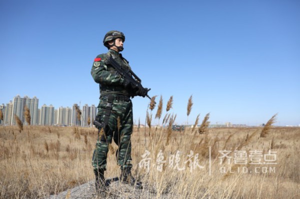 武警打架厉害吗?解析武警的纪律与行为准则,武警的纪律与行为准则,解析实战能力与纪律素质的双重保障