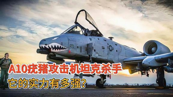 A-10攻击机服役数量概览,A-10攻击机服役数量概览,全面解析现役状况